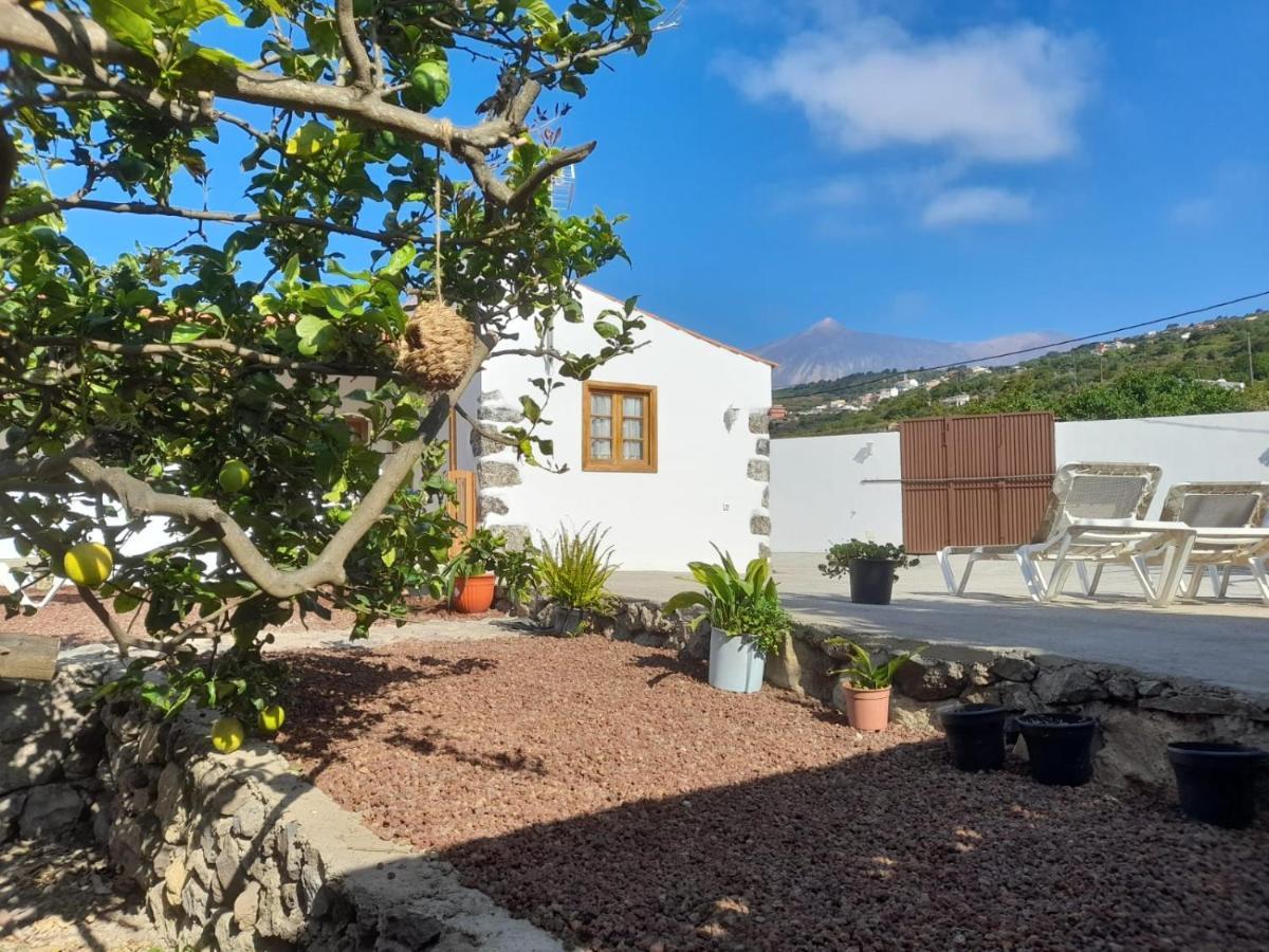 La Casa Del Bisa Villa Genovés Eksteriør bilde