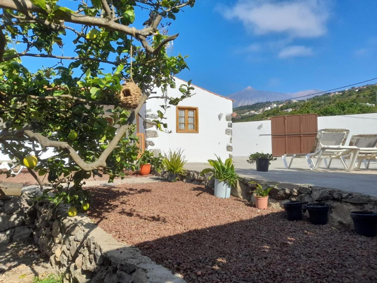 La Casa Del Bisa Villa Genovés Eksteriør bilde